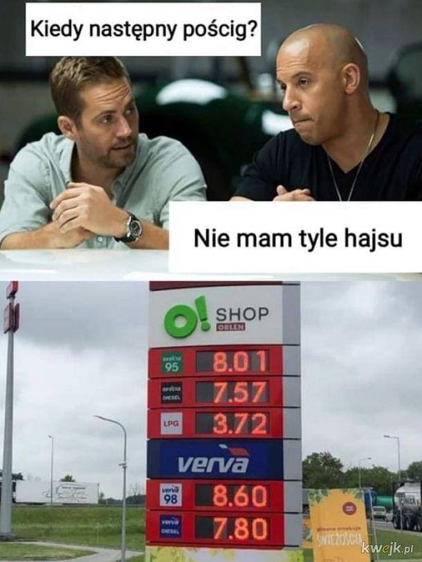 Best Polish Memes (1084).jpg