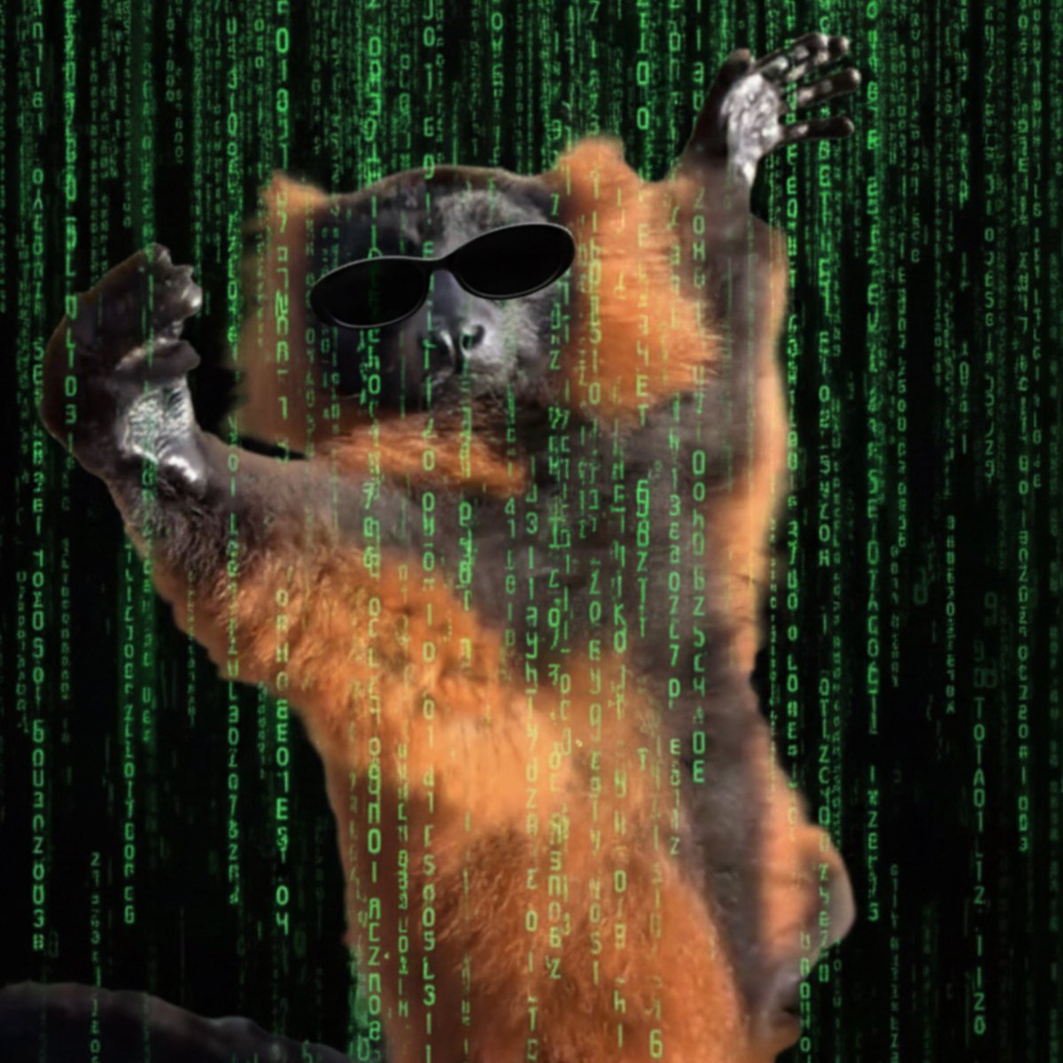 HBenrPPXkAA6yO4.jpeg