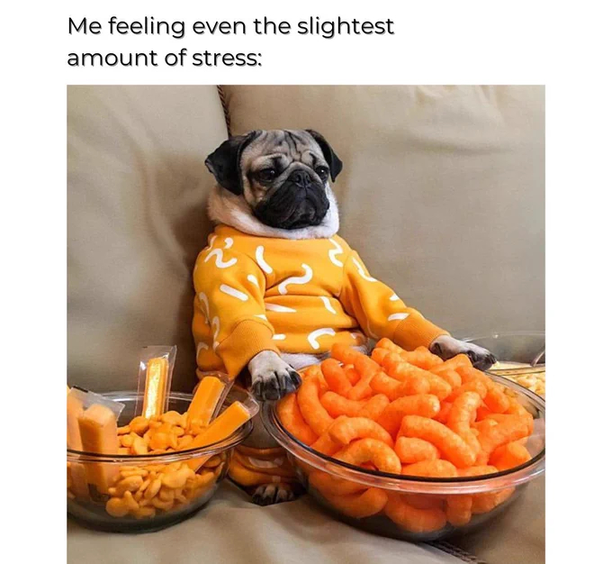 FxjfUT4aUAYwmXd (1).webp