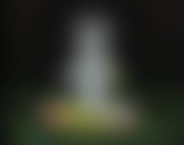 IMG_1216.gif