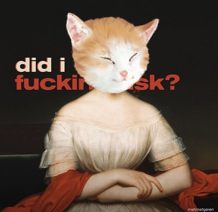 tang ping cat classical 