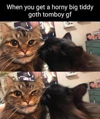 catbtggf.jpg