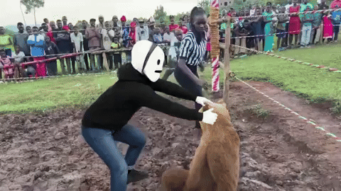 1000040339.gif