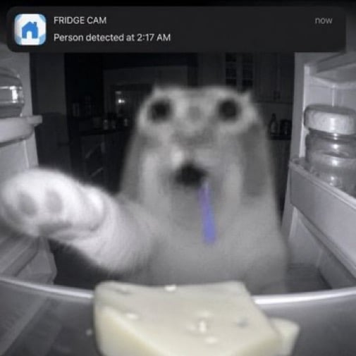 IMG_4214.jpeg