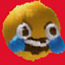 LMAO!facefromweb copy.gif