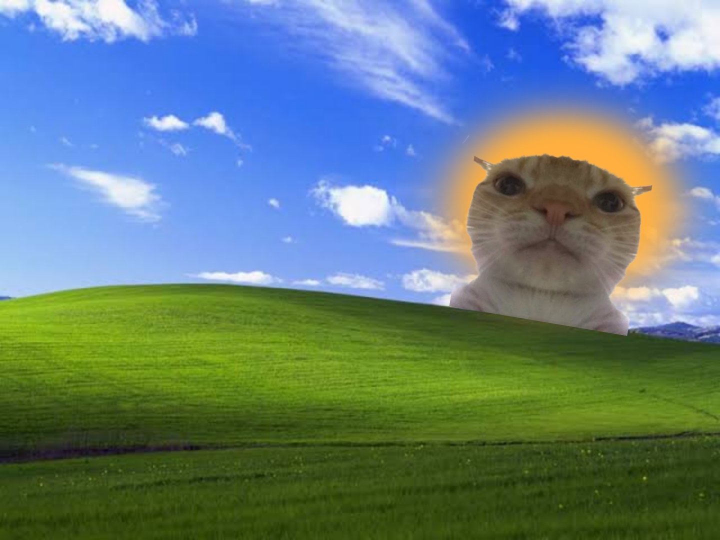 HOYwB91aEAA6izN.jpeg