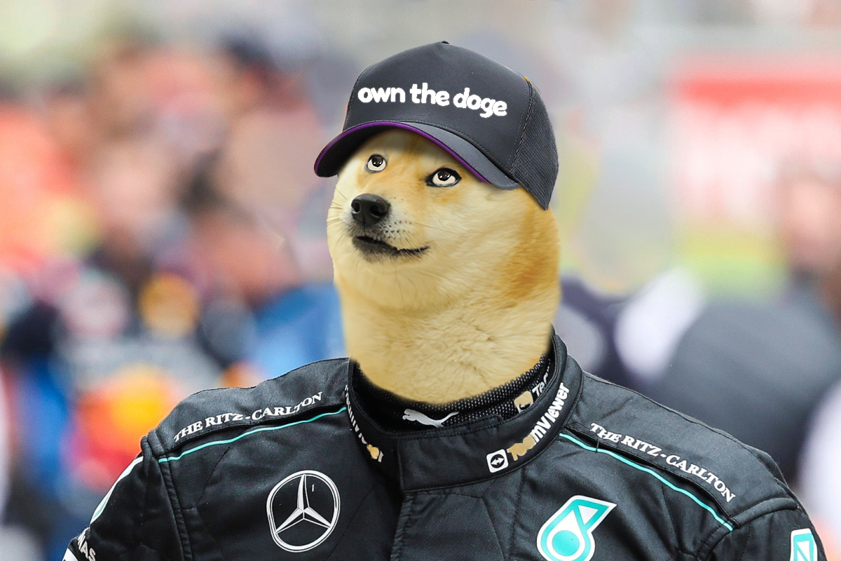 doge-lewish-doge.png