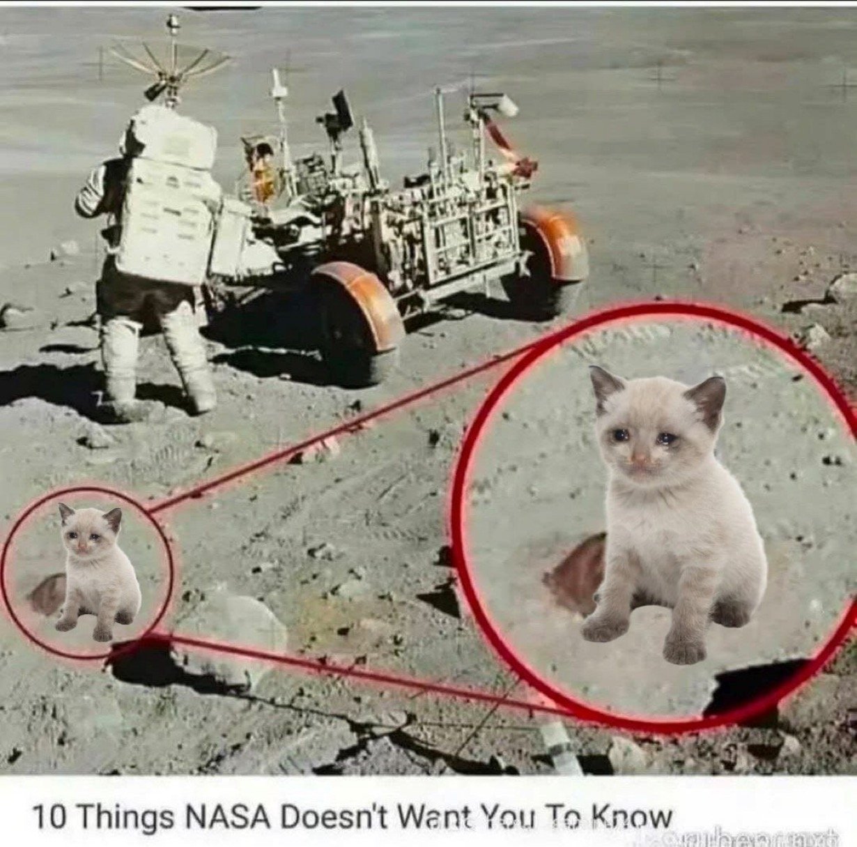 Moon Landing