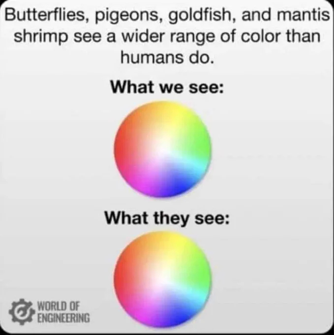 FxJ8JyAaIAEX37T (1).webp