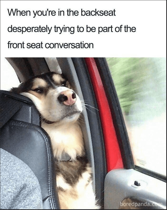 cant-help-it-lmao-v0-osvtqtshi89b1.png