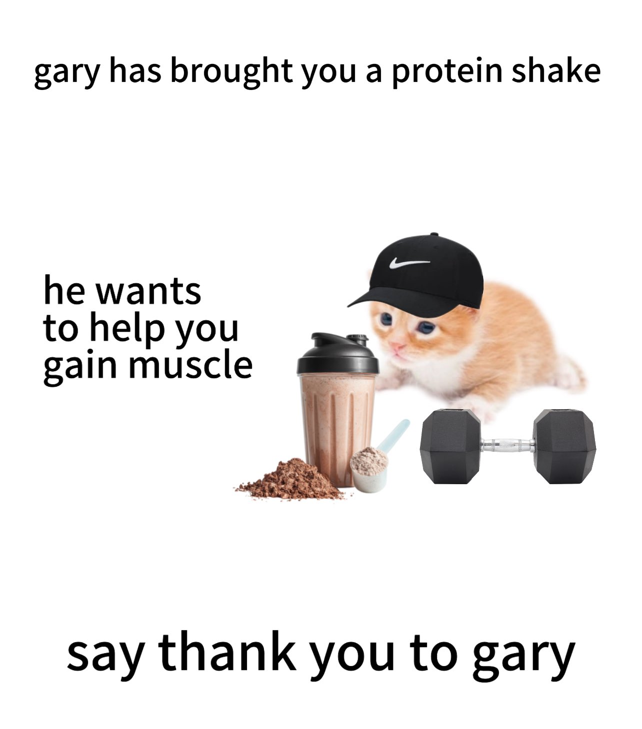 protein shake.jpg