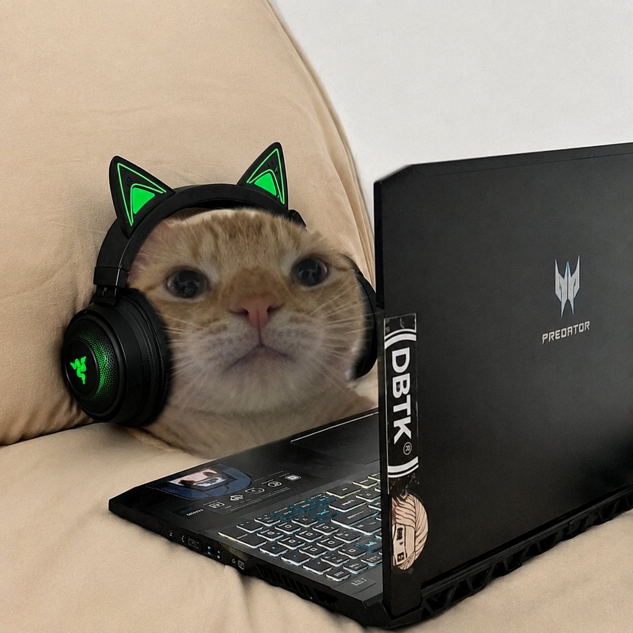 HOYxOPvaUAAP7GD.jpeg
