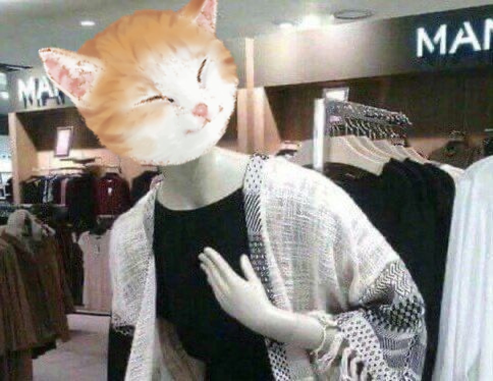 Another tang ping cat fashion