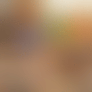 ashbiegamev2.gif