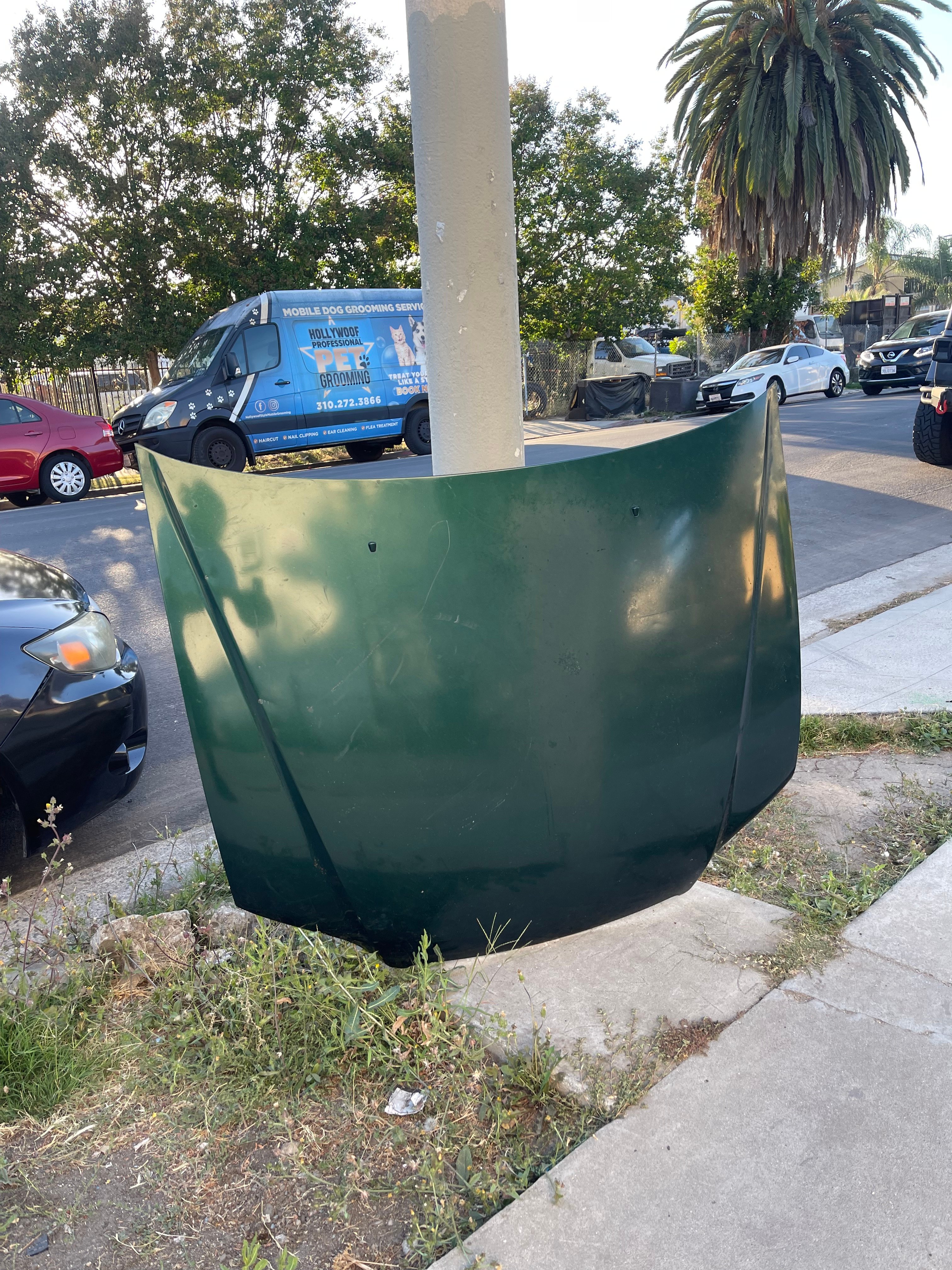 IMG_2342.jpeg