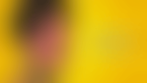 giphy (3).gif