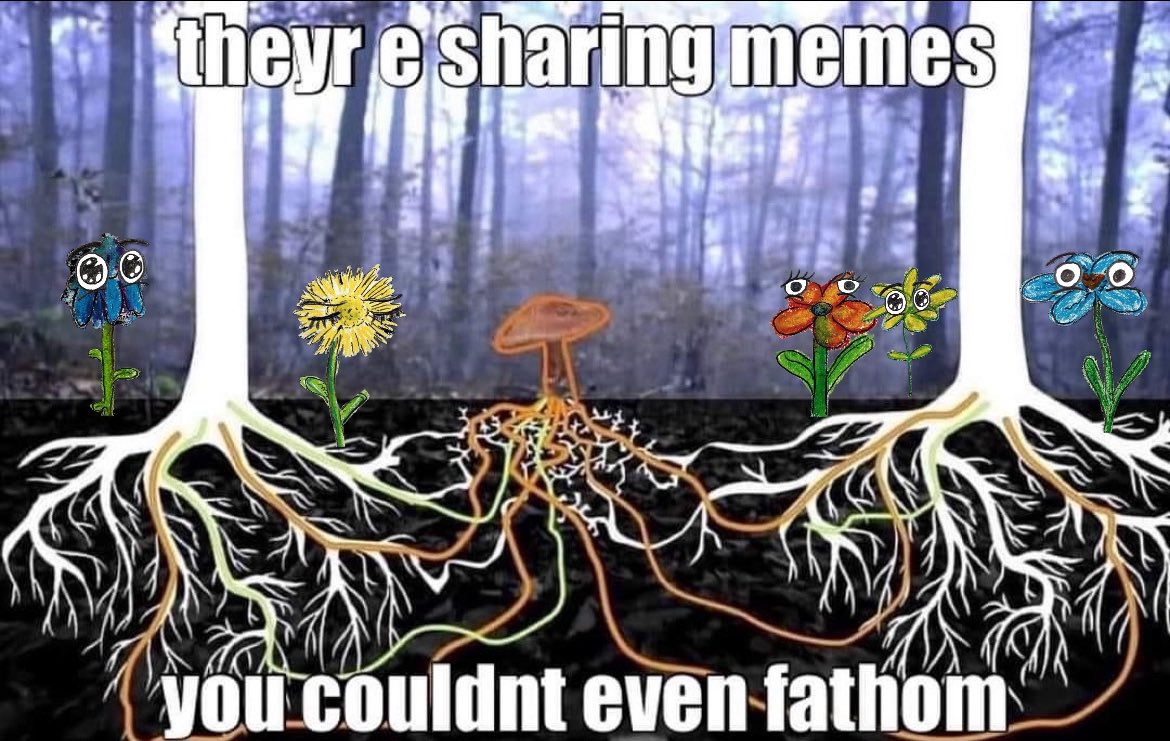 GdsqlWnaQAAO6Cq.jpeg