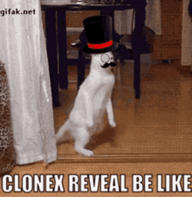 CloneX New 9.gif
