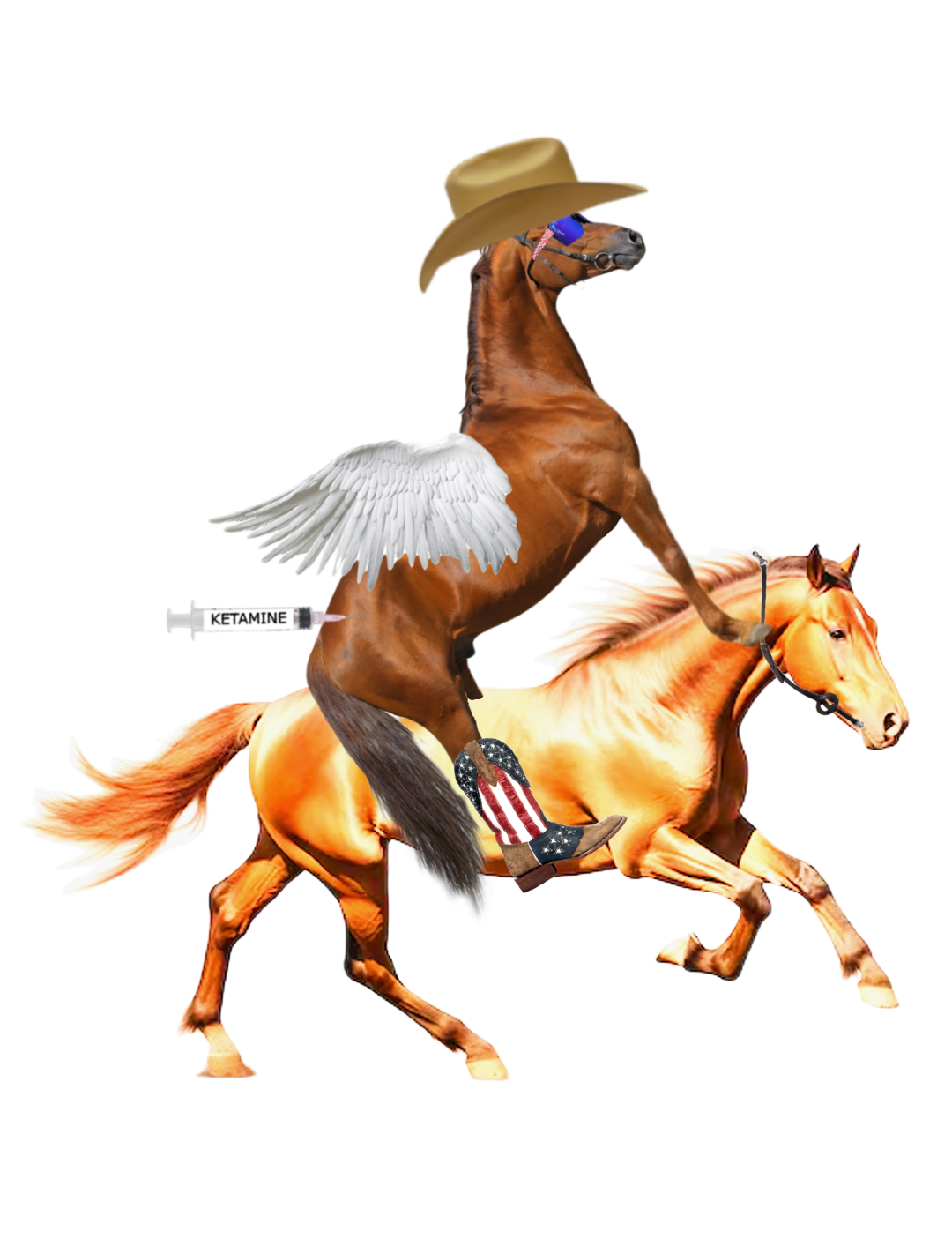 Horse_riding_horse.png