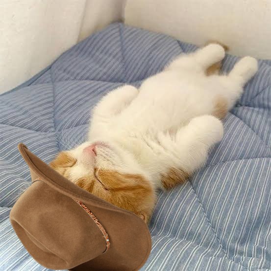 Tang ping chata wif hat