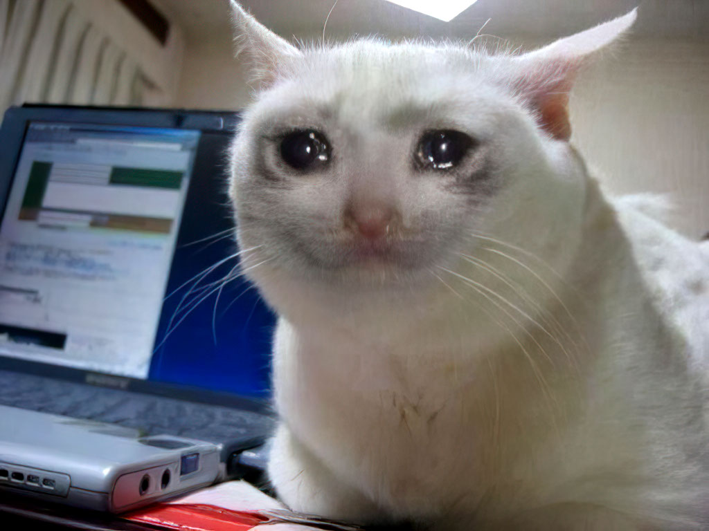 Crying Cat Template _ Schmuserkadser - Chat.jpg