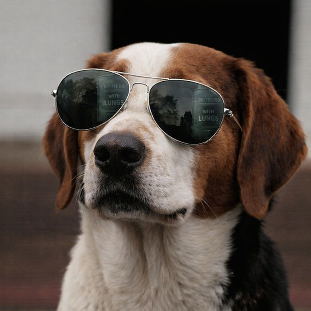 Tatranský Durič1.png