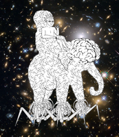 wojak-riding-brain-elephant-space-thumbnail.png