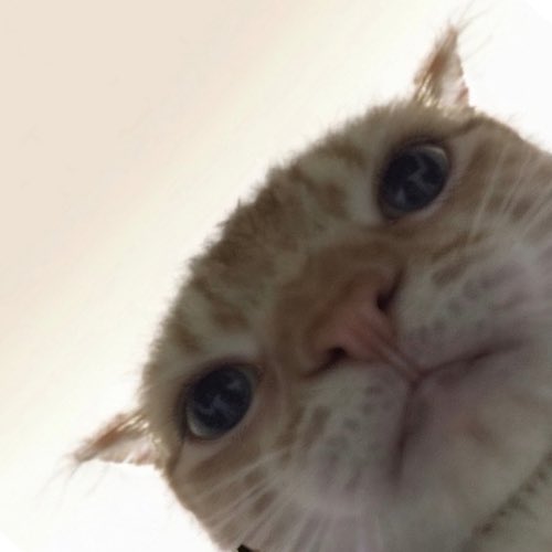 HOUWJSgbIAApWQt.jpeg