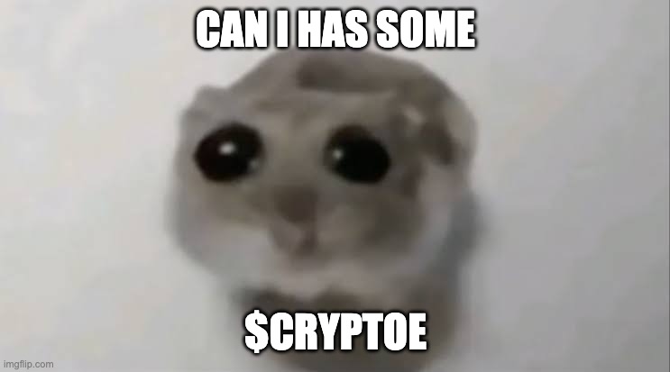 $CRYPTOE CAN I HAS.jpg
