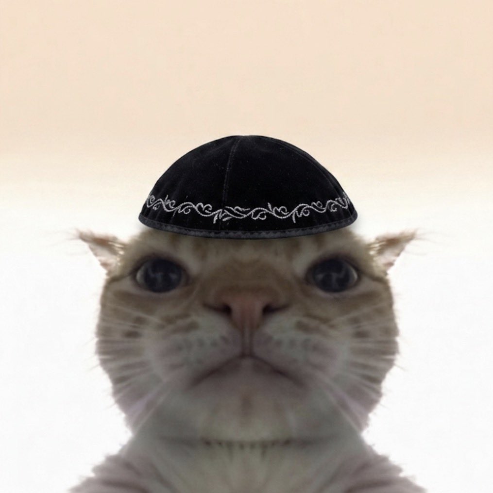 HOZMV3VX0AEy1DI.jpeg