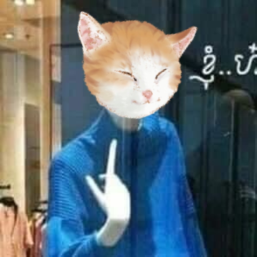 tang ping cat fashion?