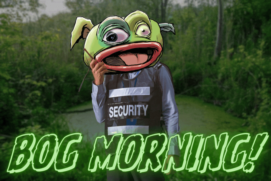 bog security BM bOg MoRniNg yell.gif