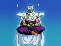 piccolo-meditation.webp