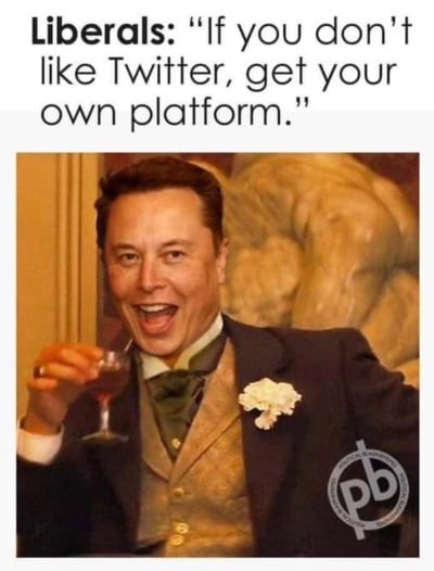 Elon Musk Google Memes (66).jpg