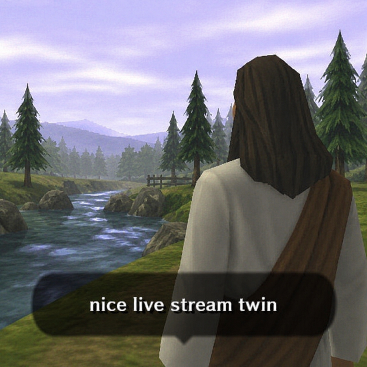 nice live stream twin