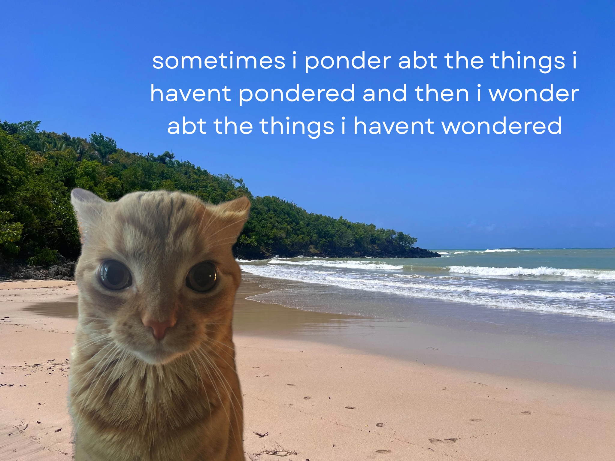 Hope your poo poo time went well today my pookie dookie cookie cutie patootie n.n.png