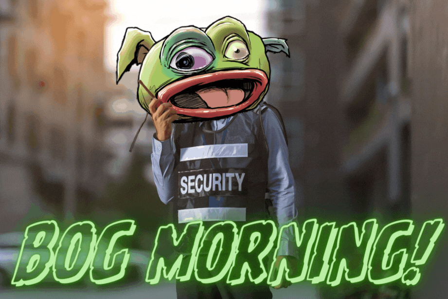 bog security bM bOg MoRniNg city.gif