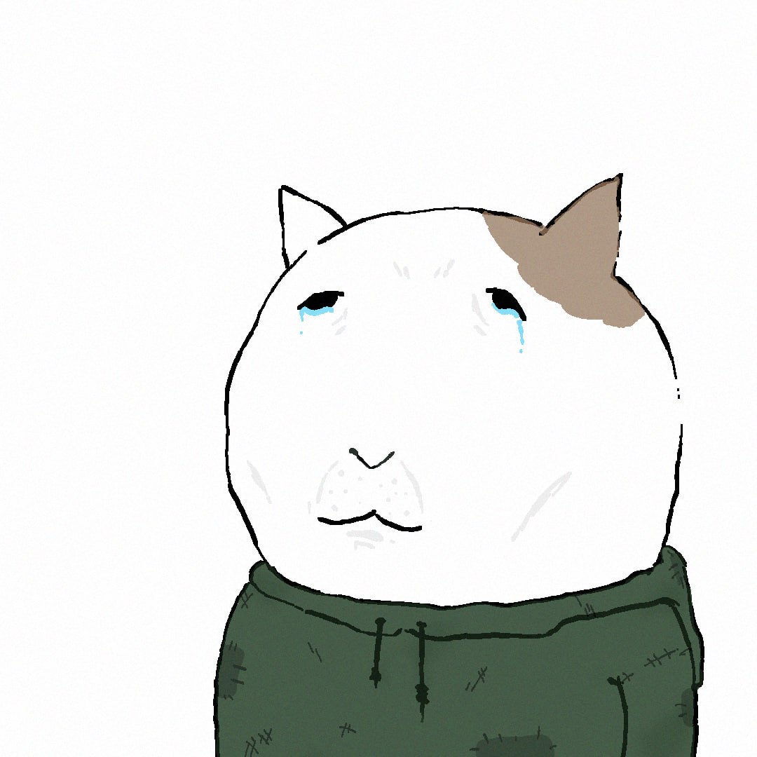 2026-04-11 03.35.39.jpg