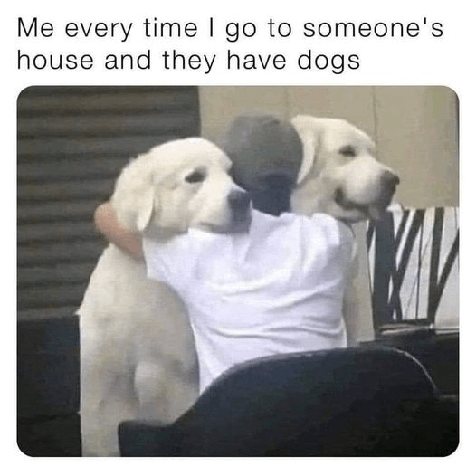 we-feel-you-bro-v0-oclgzrcgxsya1.png