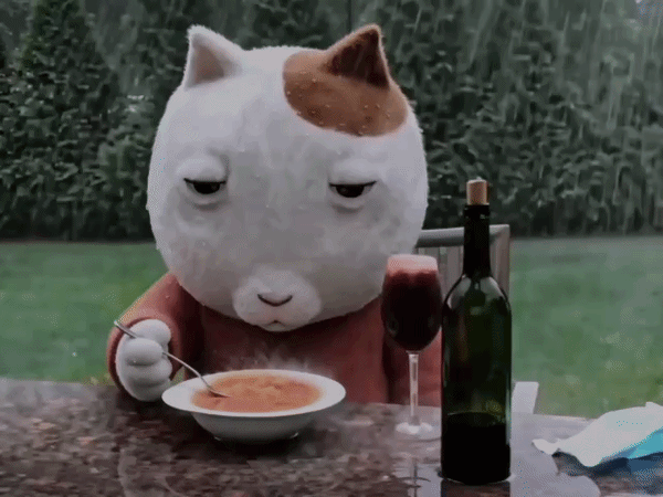 rainn-ezgif.com-video-to-gif-converter.gif