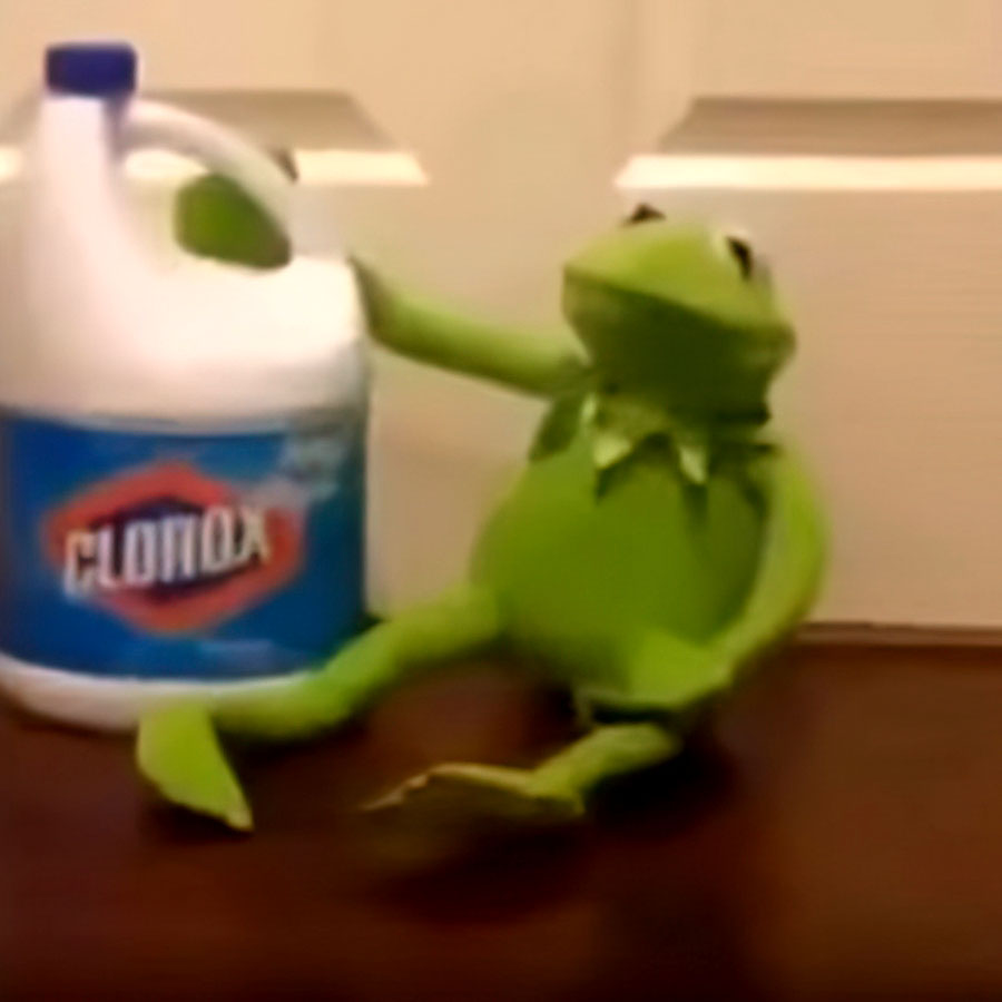 Kermit 3.jpg