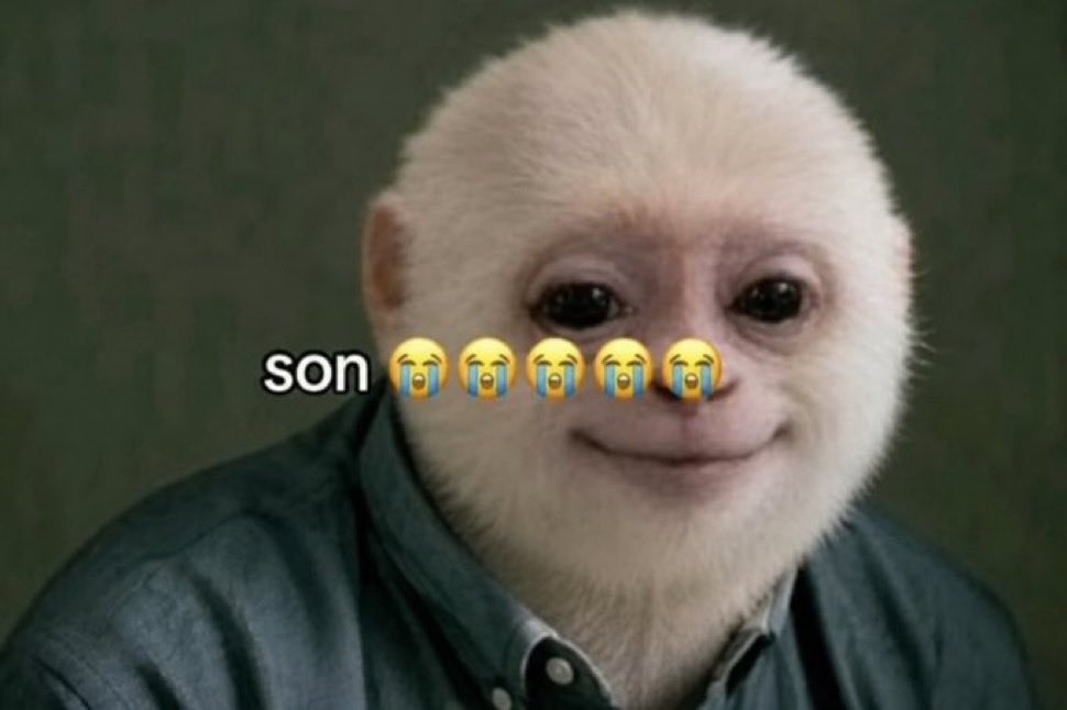 HL3JdaBXkAAf6ta.jpeg
