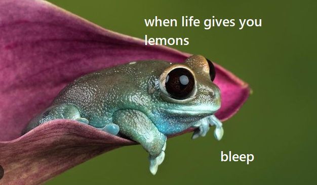 bleep frog.png