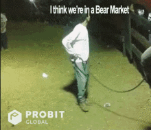nope-bear.gif