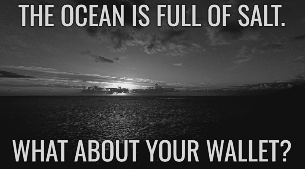 ocean_salt_wallet