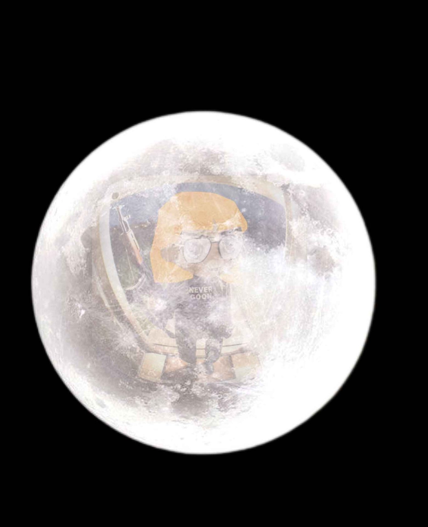moooon.jpeg