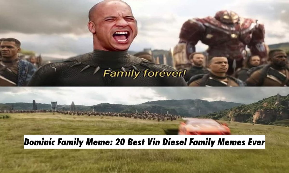 Dominic-Family-Meme-1370882587.jpg