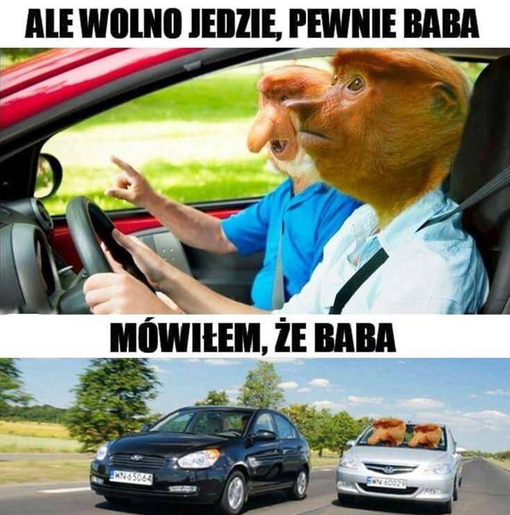Best Polish Memes (1104).jpg