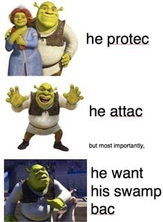 swamp bacc.jpg
