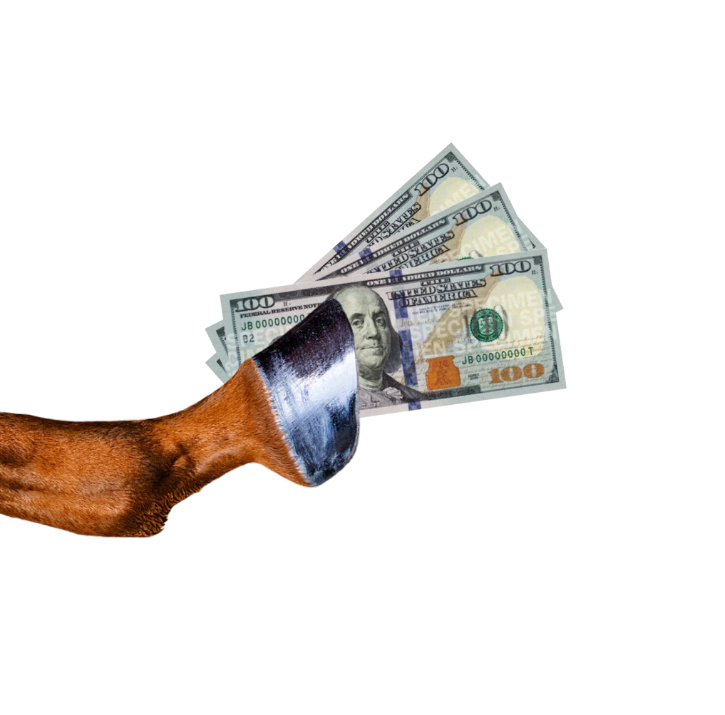 Horse_holding_cash.png